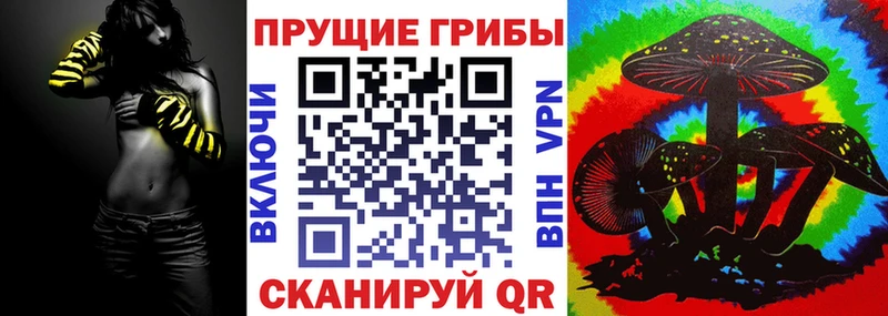 Псилоцибиновые грибы Cubensis  Чудово 